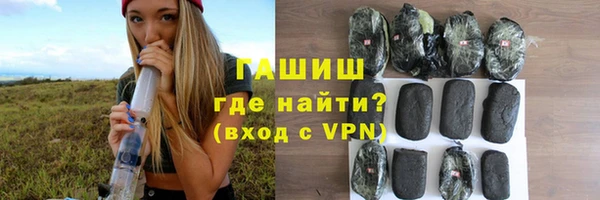 индика Новозыбков