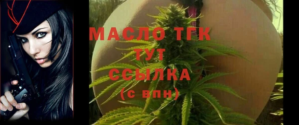 индика Новозыбков