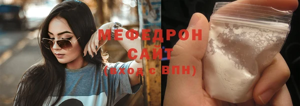 индика Новозыбков