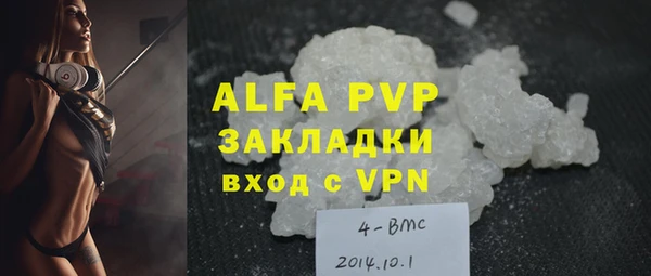 индика Новозыбков