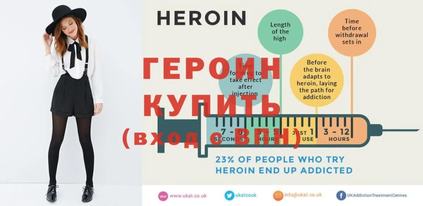 индика Новозыбков