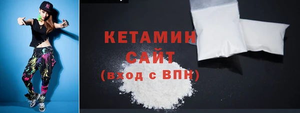 индика Новозыбков