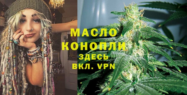 индика Новозыбков