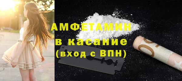 индика Новозыбков