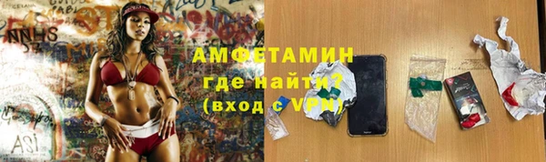 индика Новозыбков
