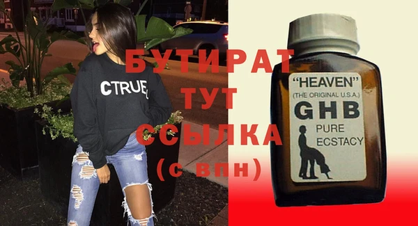 индика Новозыбков