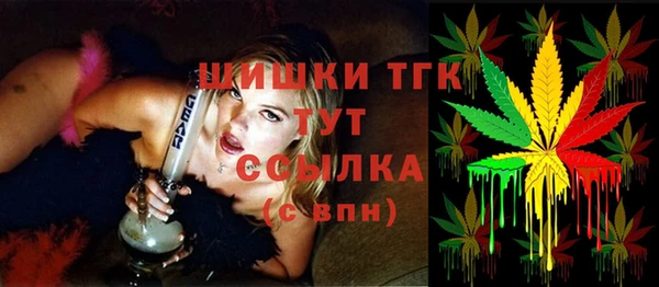 индика Новозыбков
